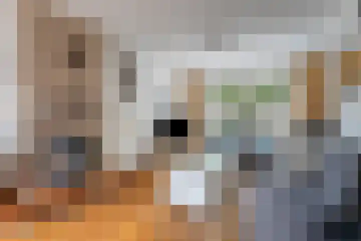 de Vriesstraat 2 Dinteloord thumbnail 7