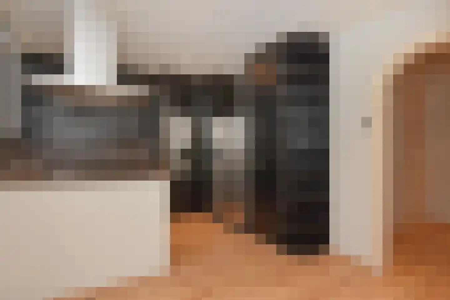 De Vriesstraat 21 Den Haag thumbnail 6