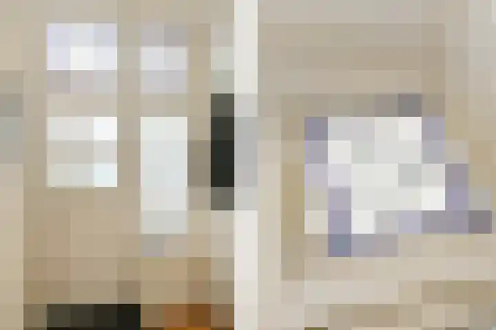 de Vriesstraat 24 A Eindhoven thumbnail 5