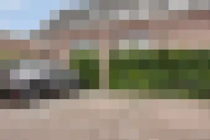 de Vriesstraat 24 E Eindhoven thumbnail 21