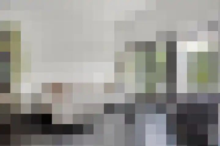de Vriesstraat 24 E Eindhoven thumbnail 7