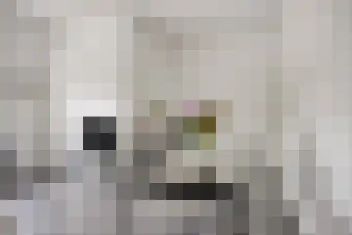 de Vriesstraat 24 E Eindhoven thumbnail 9