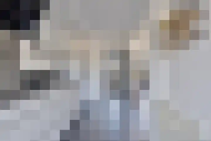 De Vriesstraat 30 Elst thumbnail 14