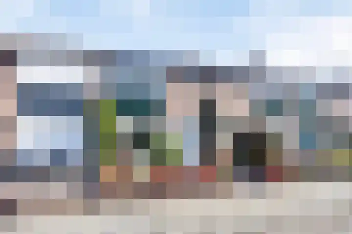 De Vriesstraat 30 Elst thumbnail 6