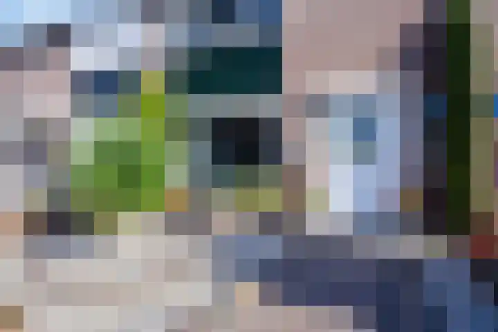 De Vriesstraat 30 Elst thumbnail 7