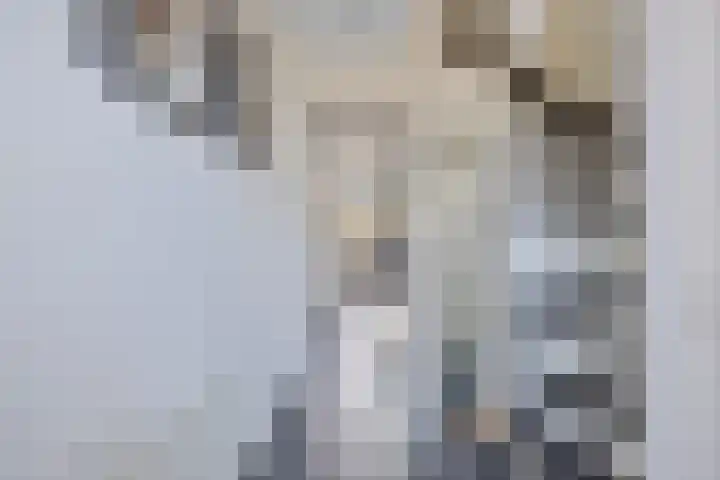 De Vriesstraat 30 Elst thumbnail 8