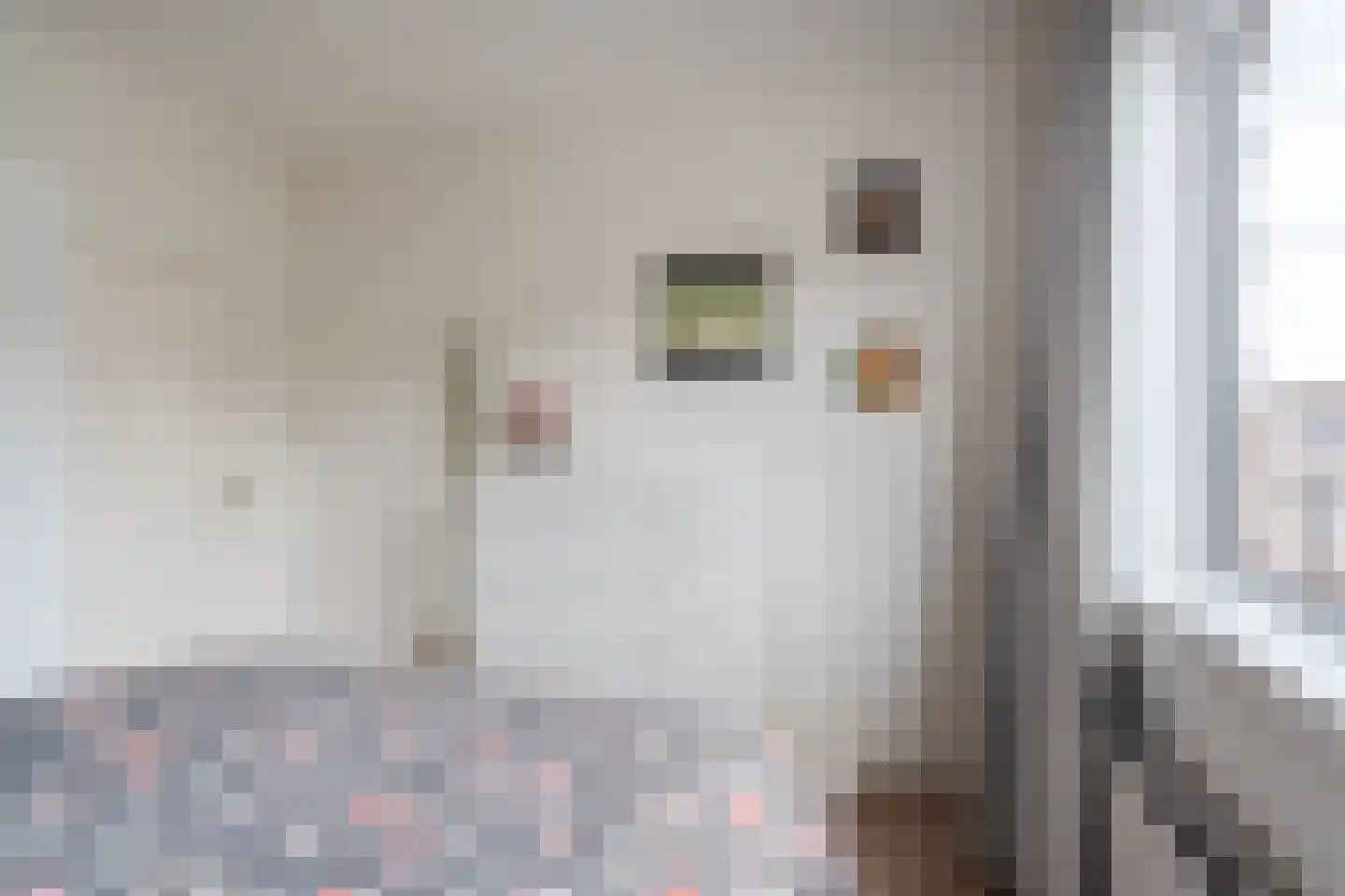 De Vriesstraat 32 Den Haag thumbnail 13