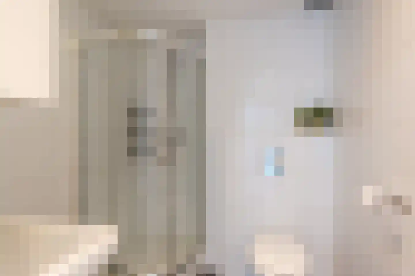 De Vriesstraat 32 Den Haag thumbnail 17