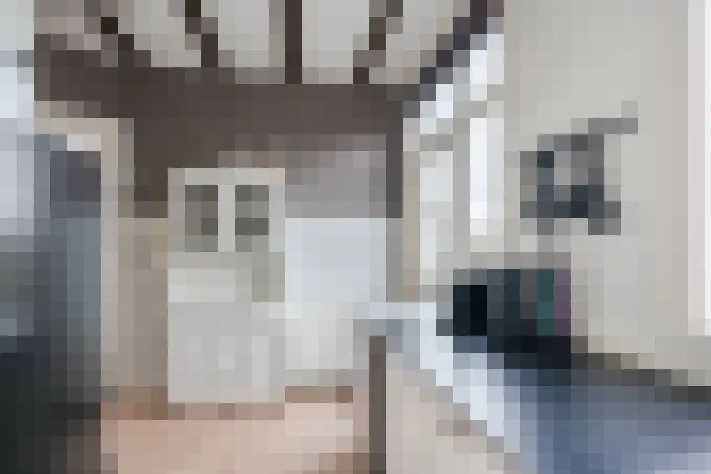 De Vriesstraat 32 Den Haag thumbnail 20