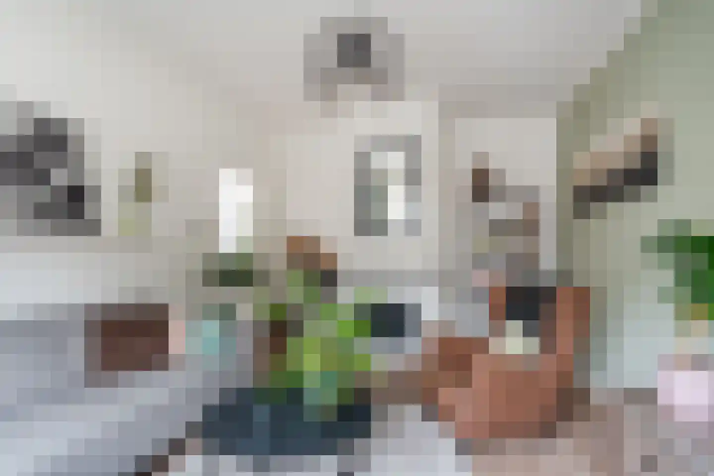 De Vriesstraat 32 Den Haag thumbnail 9