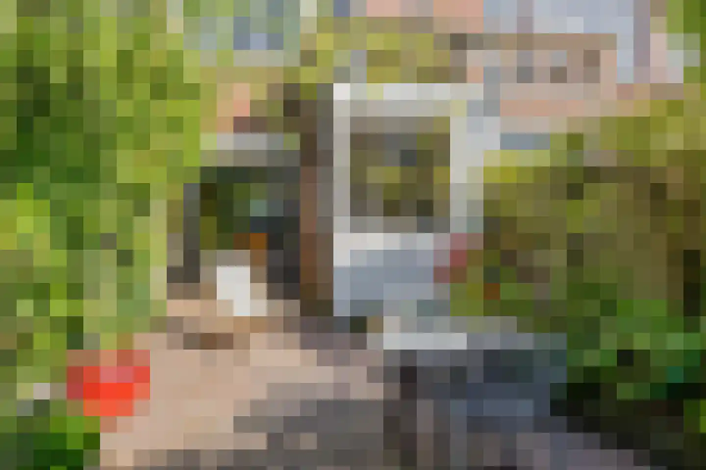 De Vriesstraat 46 Delft thumbnail 23