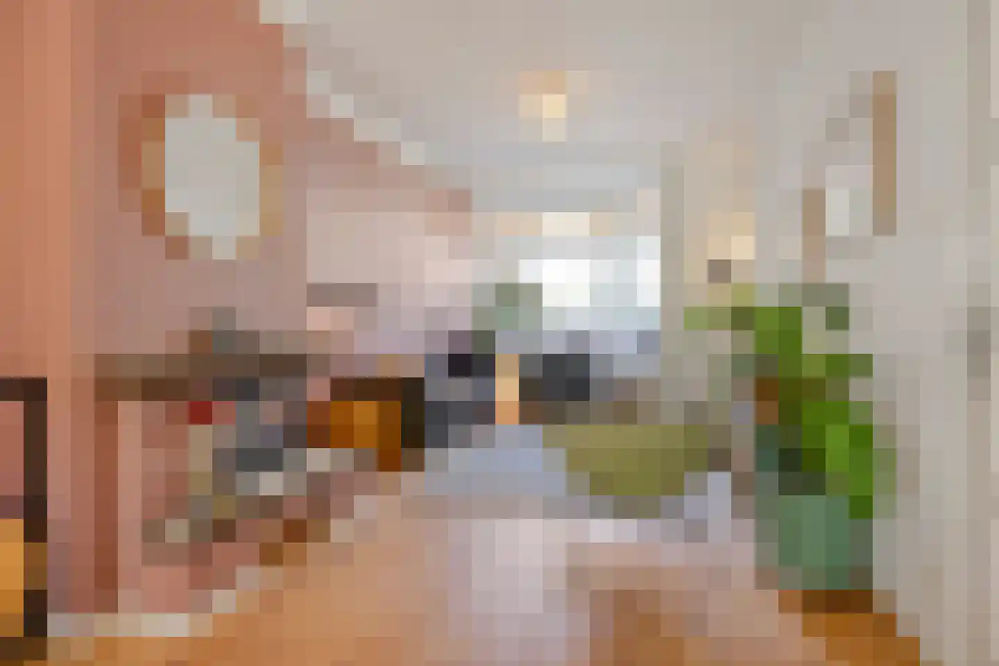 De Vriesstraat 46 Delft thumbnail 9