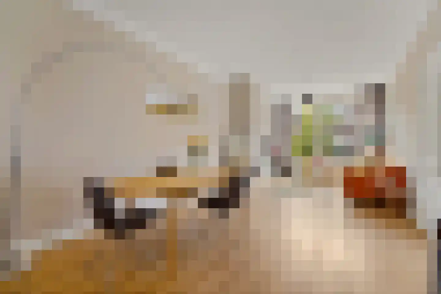 De Vriesstraat 51 Den Haag thumbnail 10