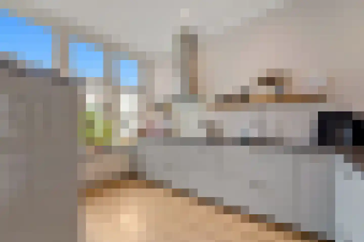 De Vriesstraat 51 Den Haag thumbnail 12