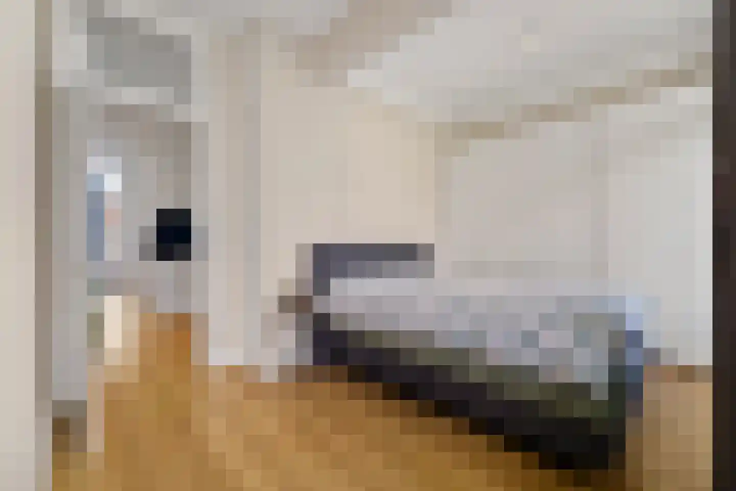 De Vriesstraat 51 Den Haag thumbnail 21