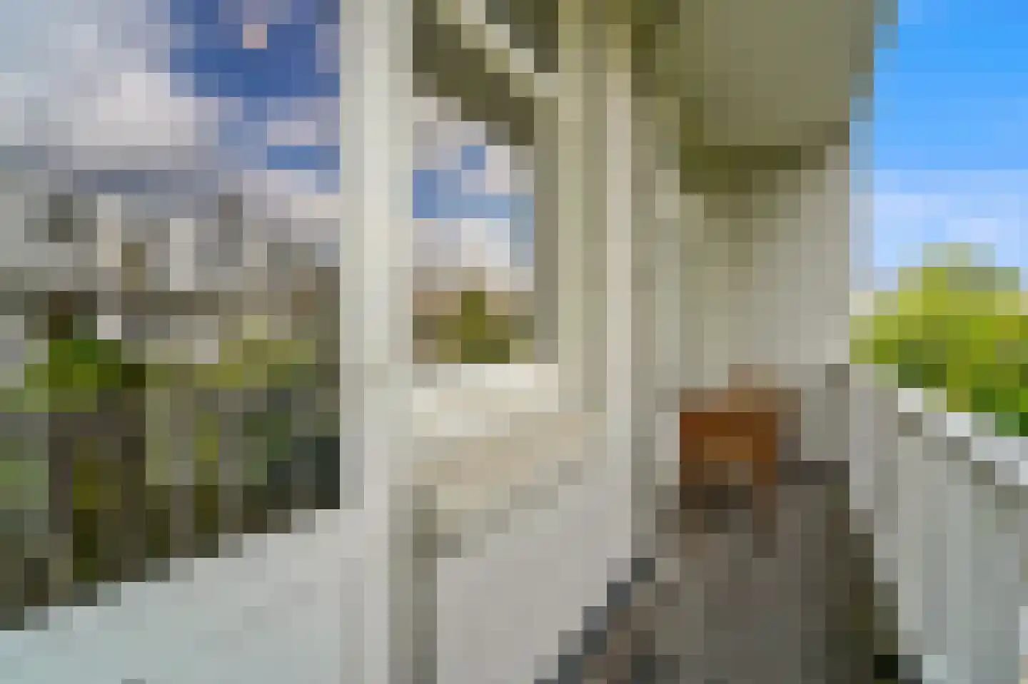 De Vriesstraat 51 Den Haag thumbnail 4