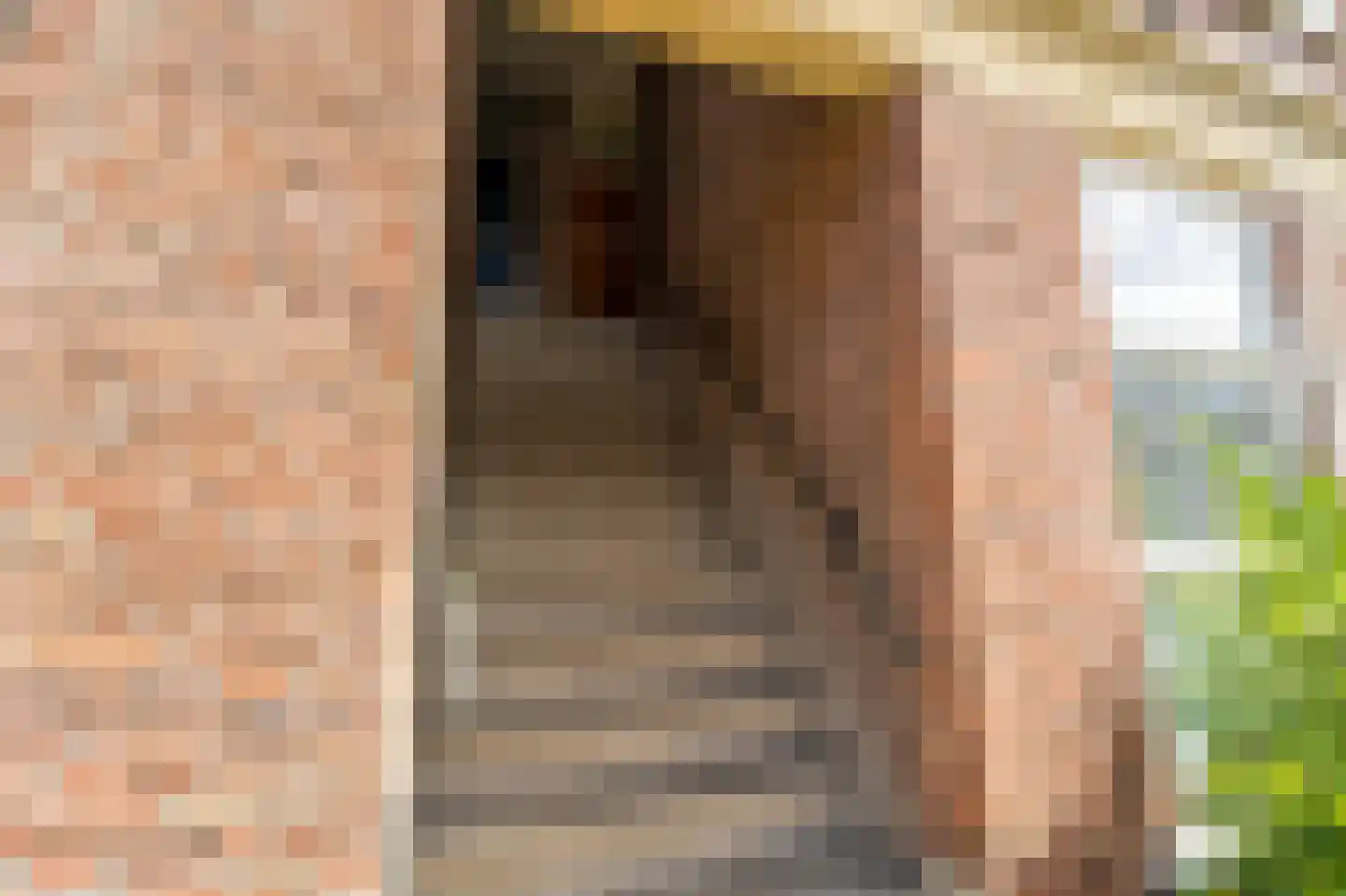 De Vriesstraat 51 Den Haag thumbnail 7