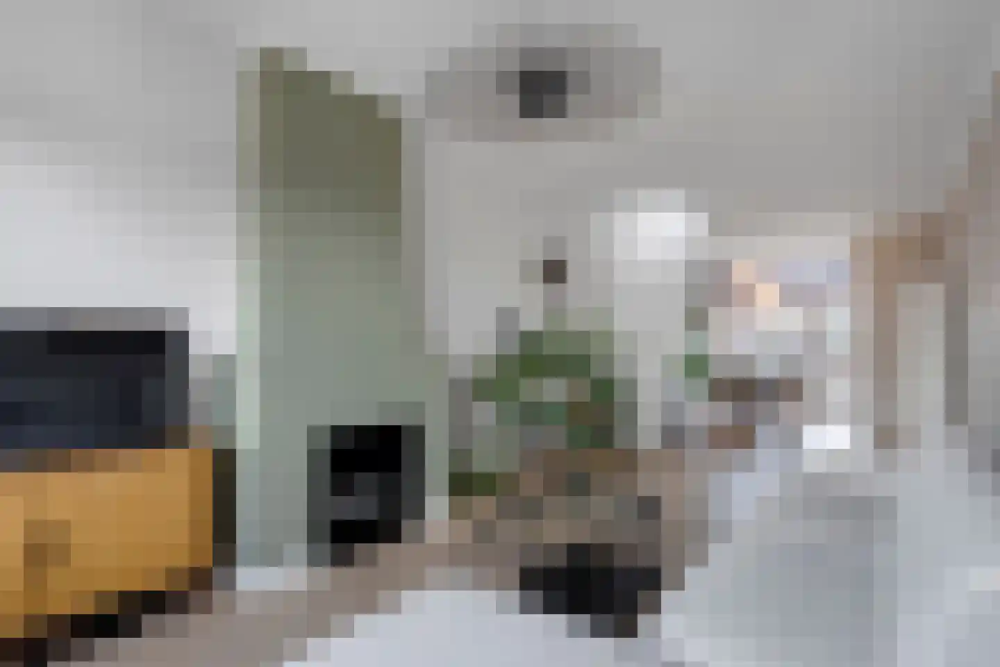 De Vriesstraat 55 Den Haag thumbnail 5