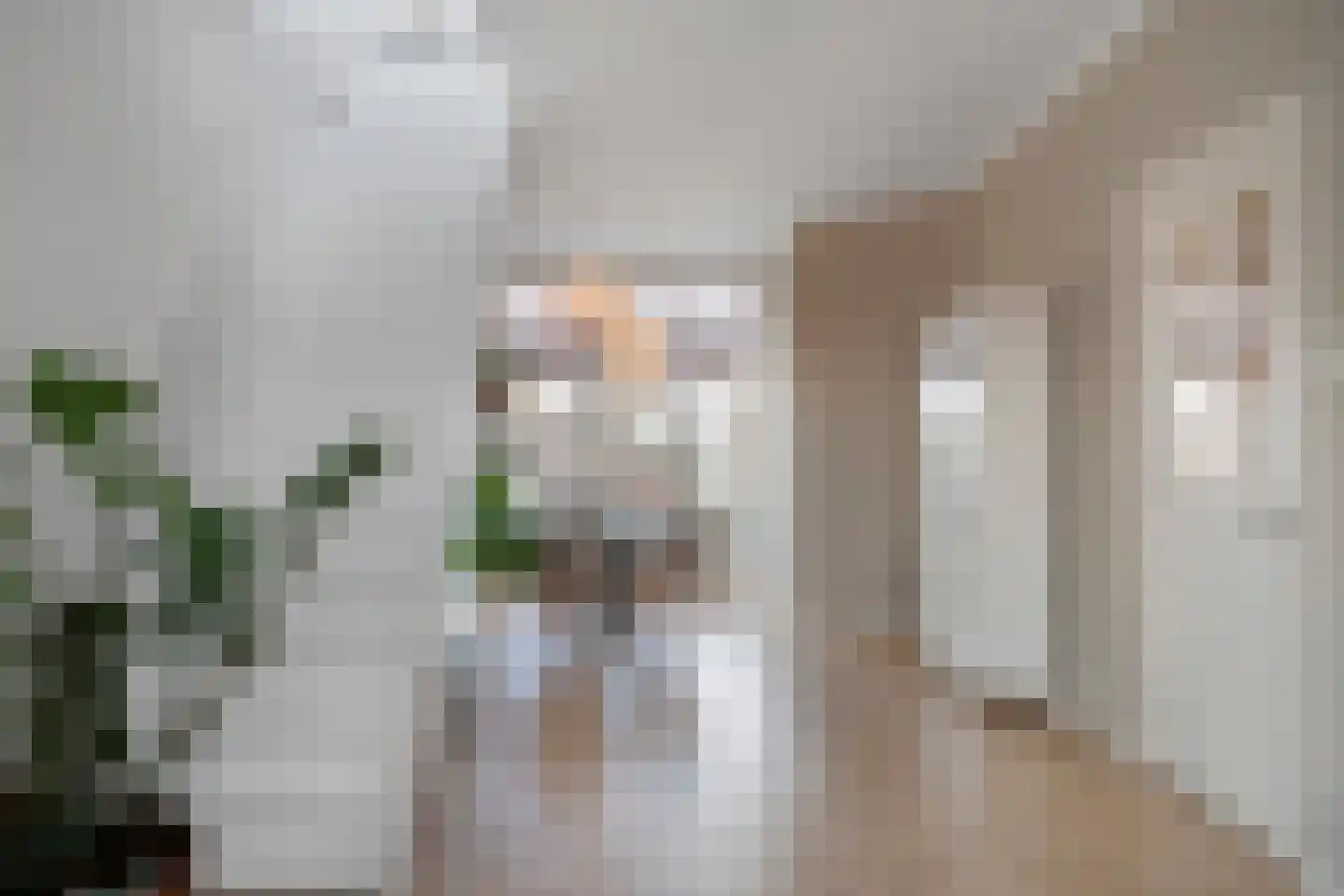 De Vriesstraat 55 Den Haag thumbnail 7