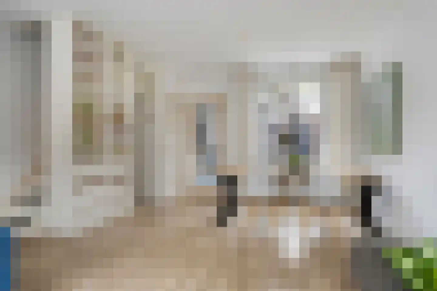 de Vriesstraat 55 Eindhoven thumbnail 14