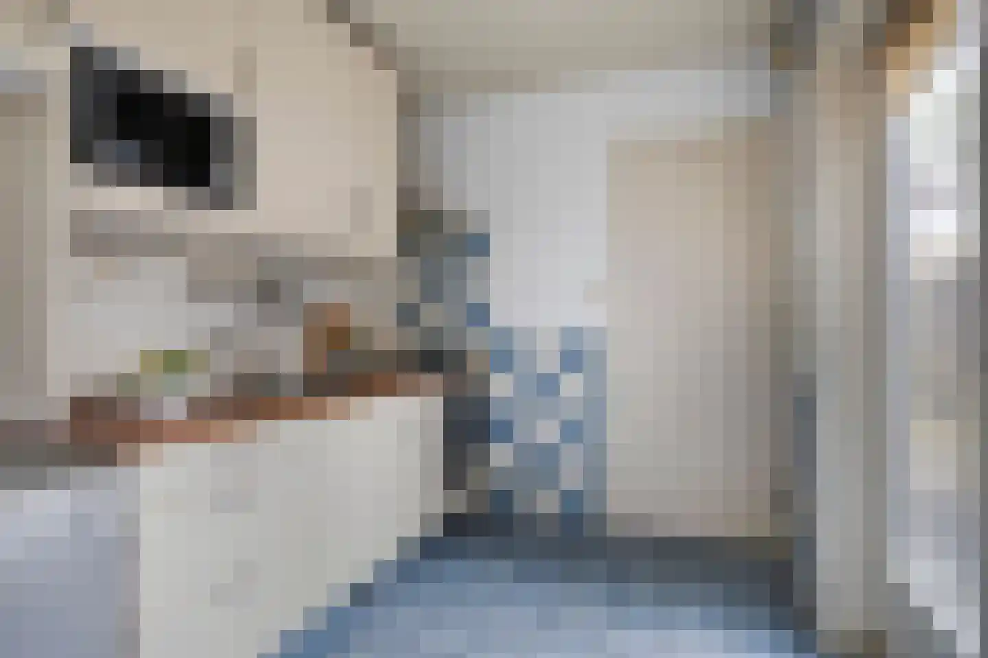 de Vriesstraat 55 Eindhoven thumbnail 17