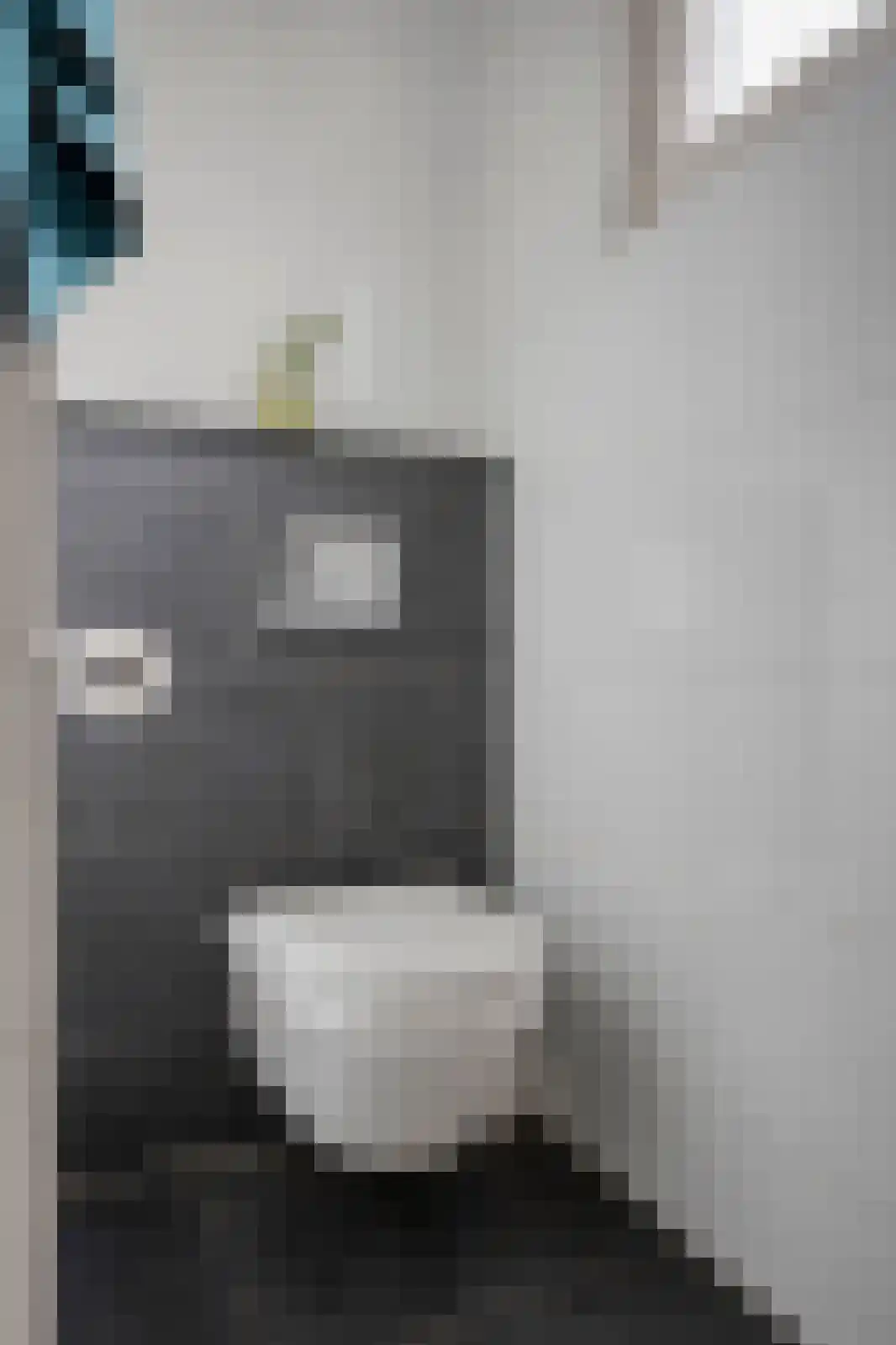 de Vriesstraat 55 Eindhoven thumbnail 20