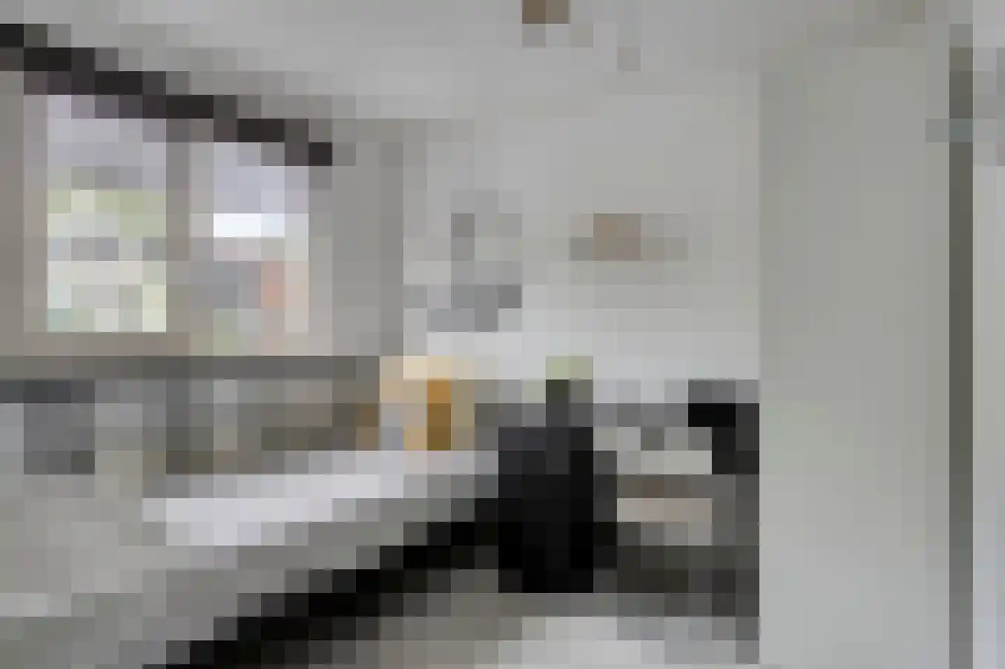 de Vriesstraat 55 Eindhoven thumbnail 24