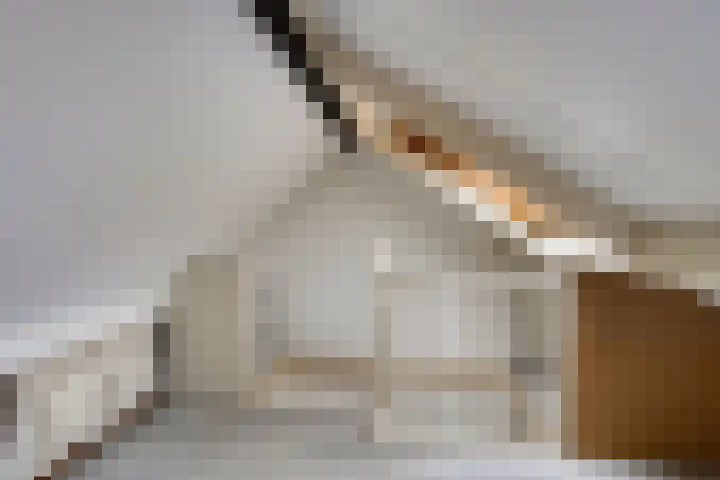 de Vriesstraat 55 Eindhoven thumbnail 26