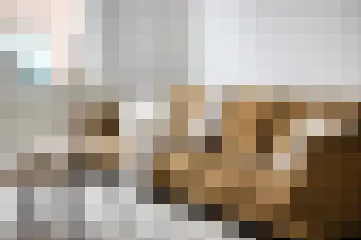 de Vriesstraat 6 Eindhoven thumbnail 11