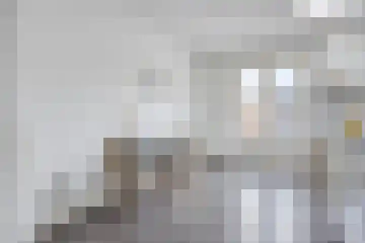 de Vriesstraat 6 Eindhoven thumbnail 15