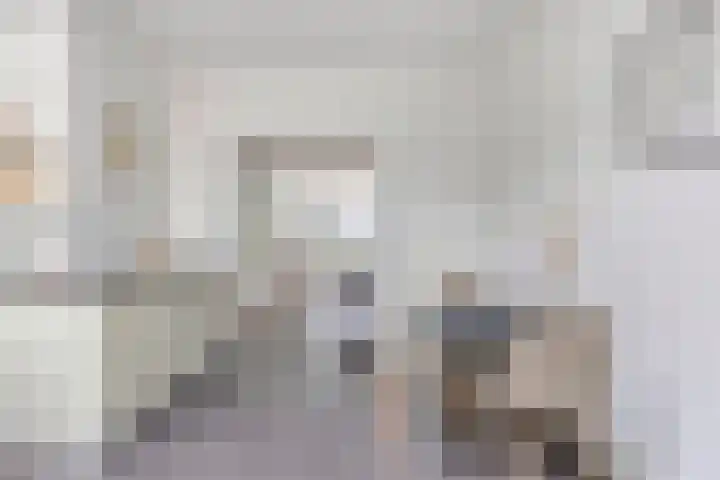 de Vriesstraat 6 Eindhoven thumbnail 19