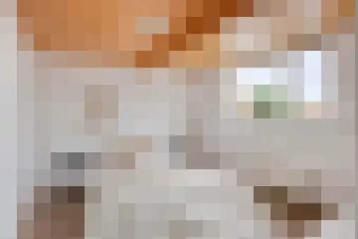 de Vriesstraat 6 Eindhoven thumbnail 25