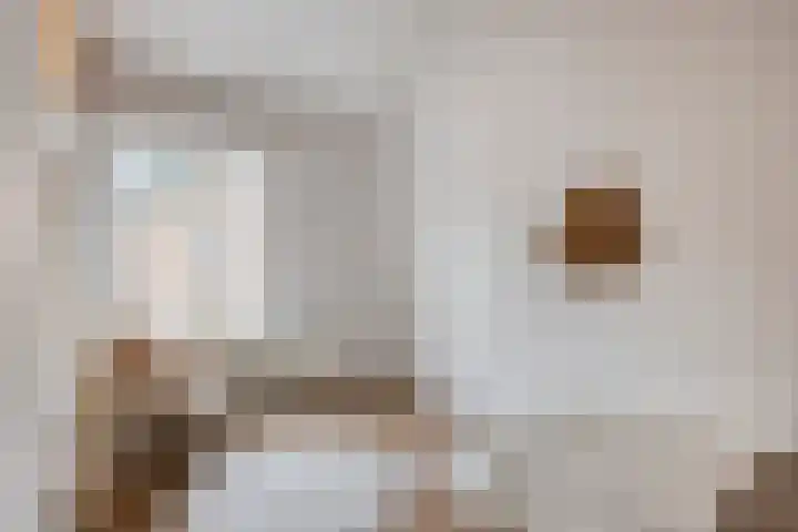de Vriesstraat 6 Eindhoven thumbnail 29