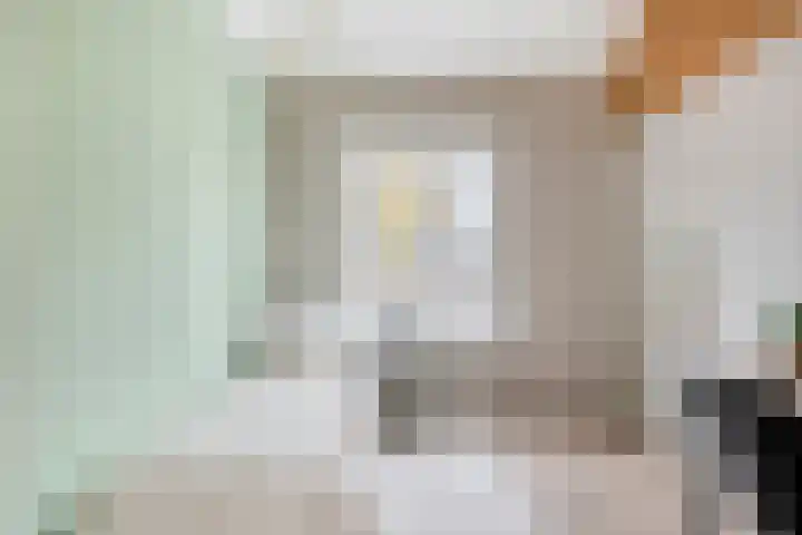 de Vriesstraat 6 Eindhoven thumbnail 31