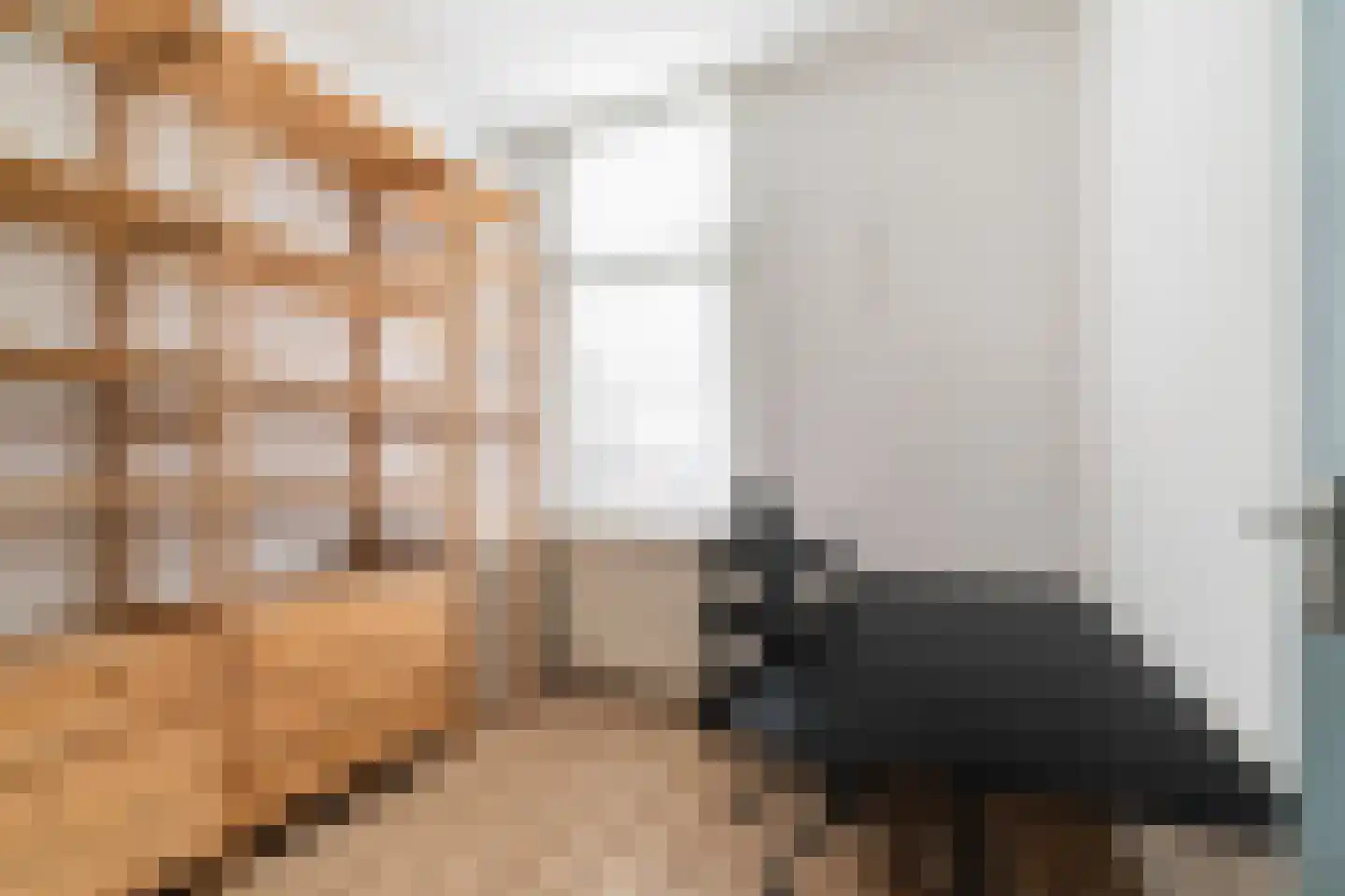De Vriesstraat 87 Den Haag thumbnail 15