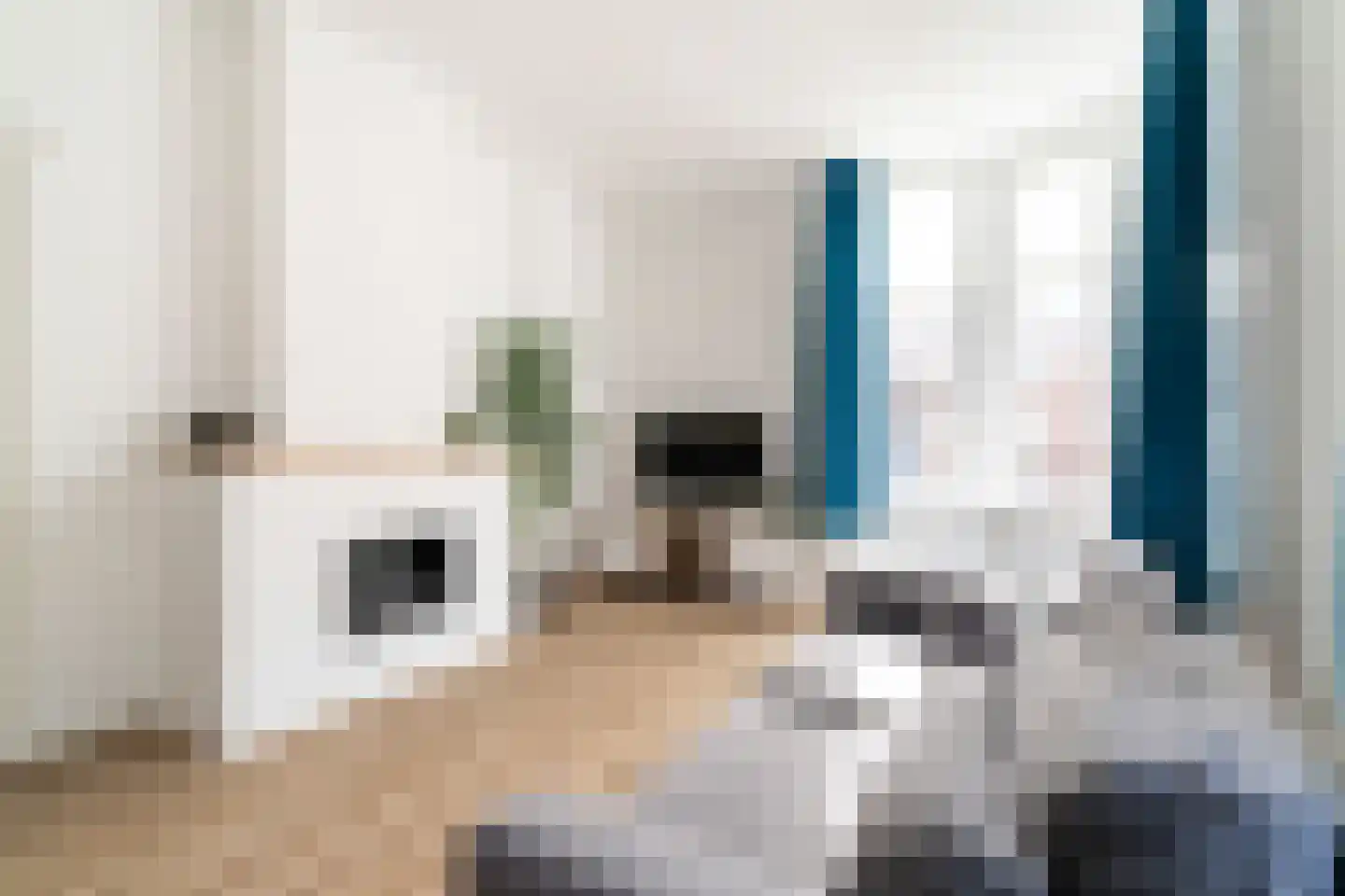 De Vriesstraat 87 Den Haag thumbnail 4