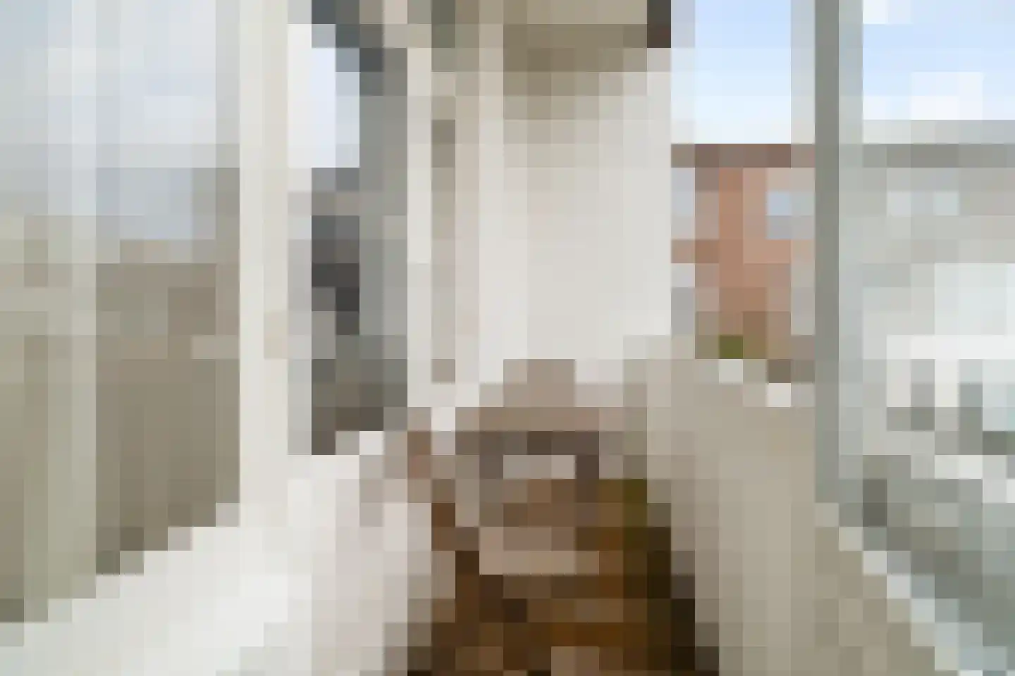 De Vriesstraat 87 Den Haag thumbnail 9