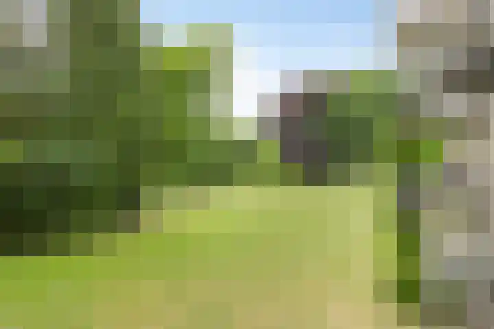 De Vrijburg 12 Oosterbeek thumbnail 14