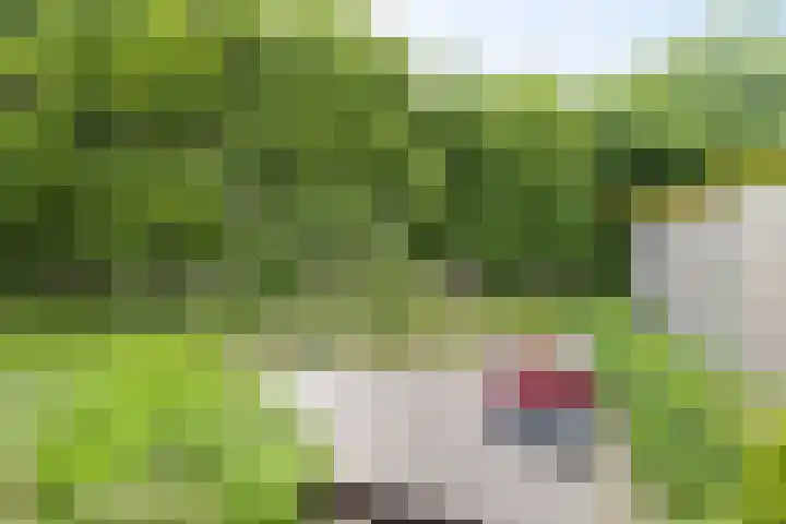 De Vrijburg 12 Oosterbeek thumbnail 17