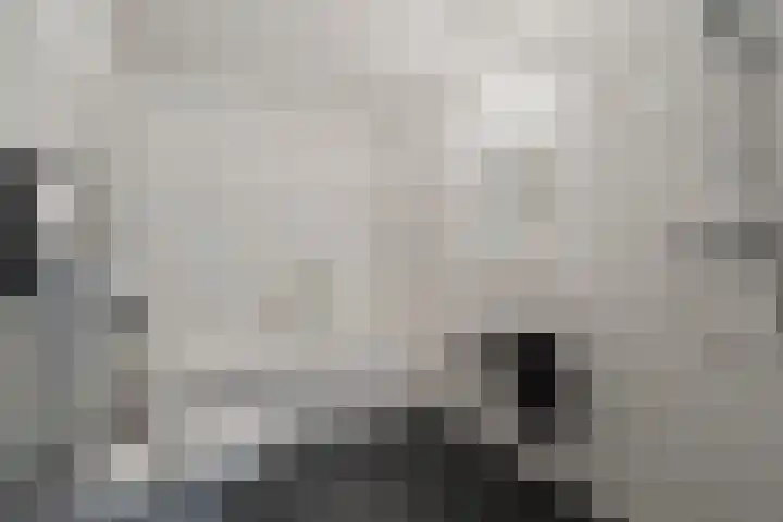 De Vrijburg 12 Oosterbeek thumbnail 18