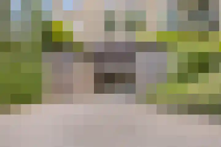 De Vrijburg 12 Oosterbeek thumbnail 24