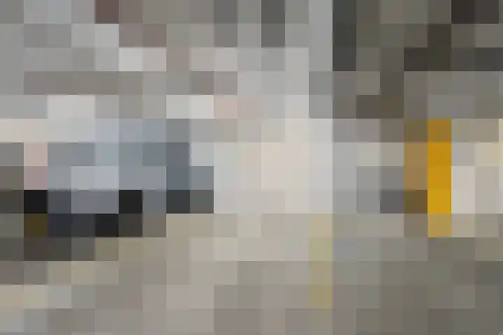 De Vrijburg 12 Oosterbeek thumbnail 25