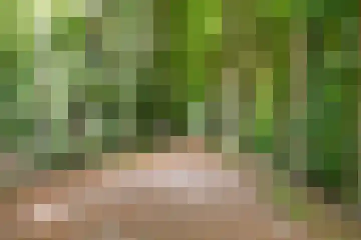De Vrijburg 12 Oosterbeek thumbnail 26
