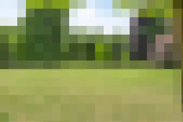 De Vrijburg 12 Oosterbeek thumbnail 27