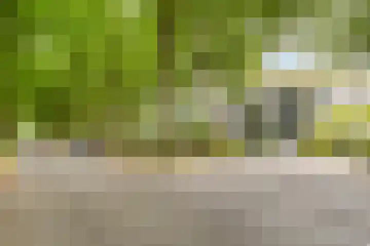 De Vrijburg 12 Oosterbeek thumbnail 29