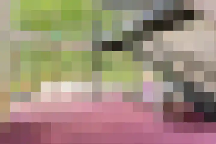 De Vrijburg 12 Oosterbeek thumbnail 6