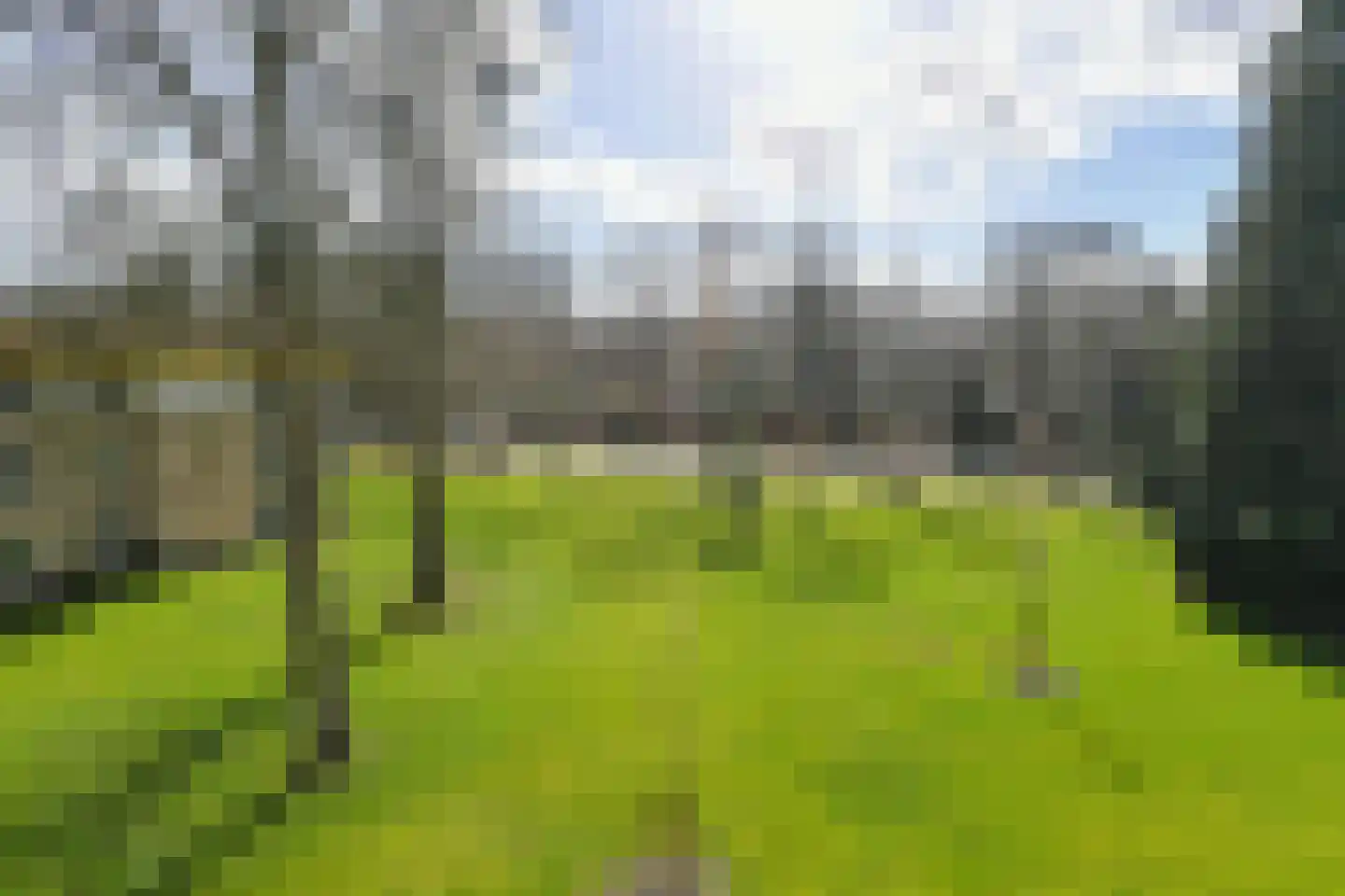 De Vrijburg 18 Oosterbeek thumbnail 23