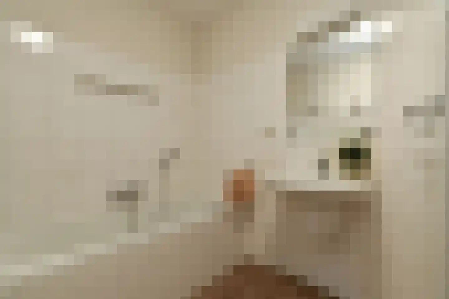 De Vrijburg 18 Oosterbeek thumbnail 35