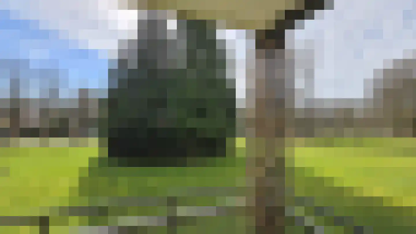 De Vrijburg 9 Oosterbeek thumbnail 5