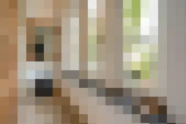 De Vrijheid 3 Nieuwkoop thumbnail 12